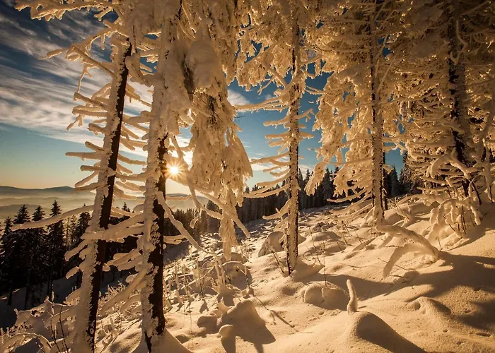 124 & Sauna Komfortowy Beskidy