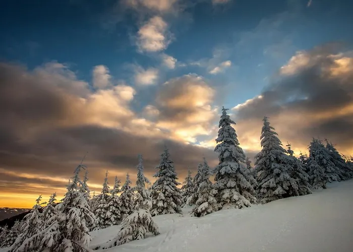 124 & Sauna Komfortowy Beskidy *