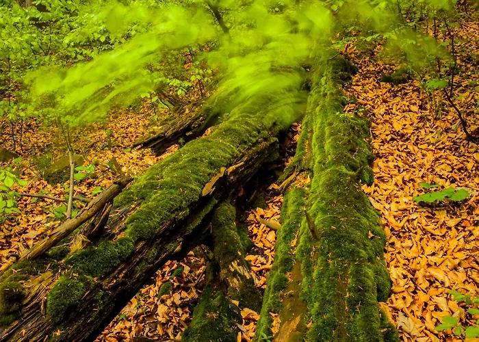 Appartement 124 & Sauna Komfortowy Beskidy Bystra (Bielsko)