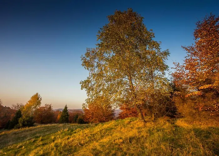 124 & Sauna Komfortowy Beskidy Appartement *