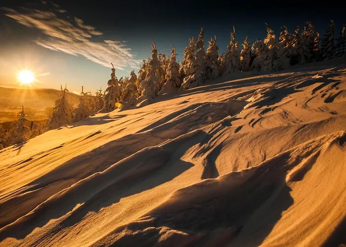 124 & Sauna Komfortowy Beskidy *